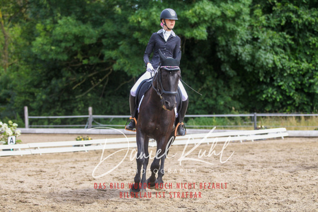 DKP46073 | Turniersportfotografie; Pferdefotografie; Dressurfotografie