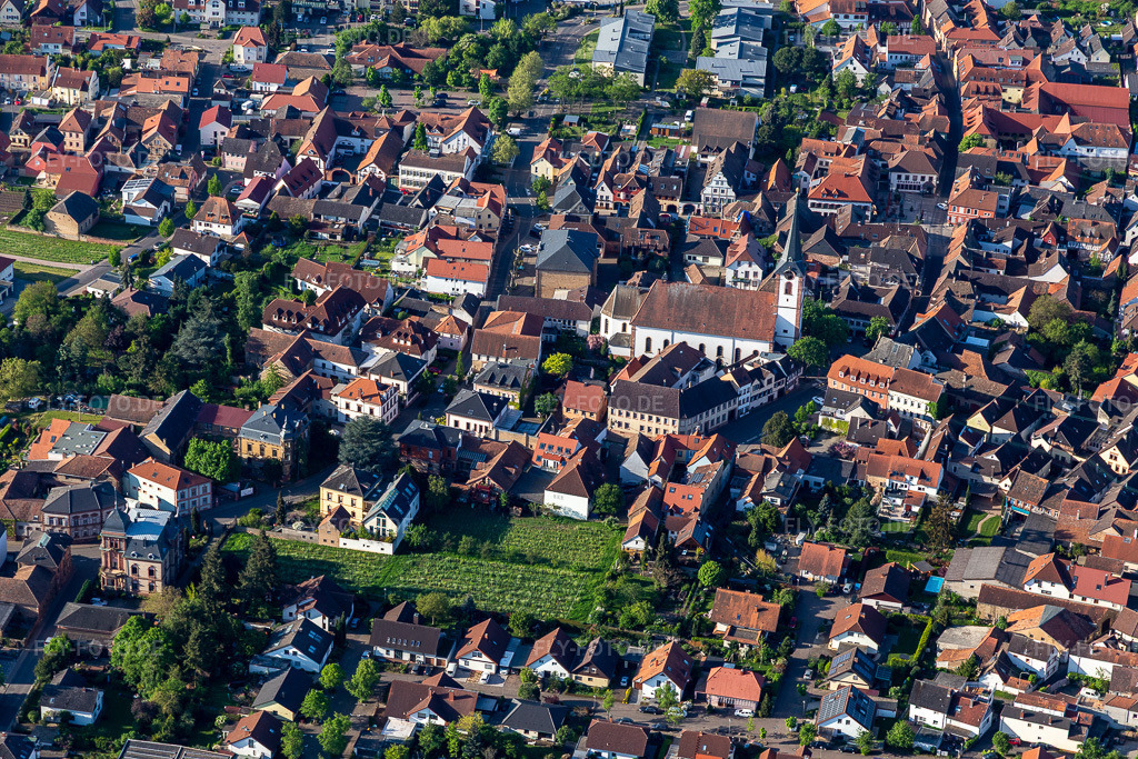 Luftbild:  in Maikammer im Bundesland Rheinland-Pfalz in Deutschland. – Foto: IMG_131296.jpg vom 07.05.2022 durch Werner Riehm/FLY-FOTO.de – Auflösung des Originals: 5472 x 3648 px – Maikammer