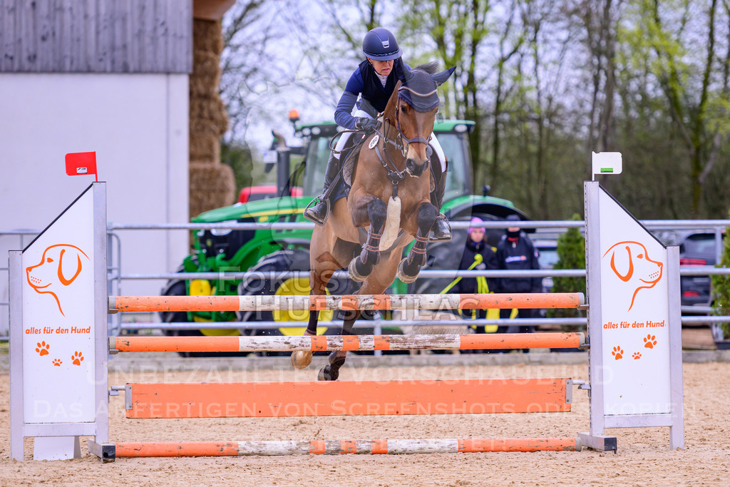 12042026-Mammendorf-Prfg39-0050 | Fokus Hufschlag Fotografie - Realisiert mit Pictrs.com