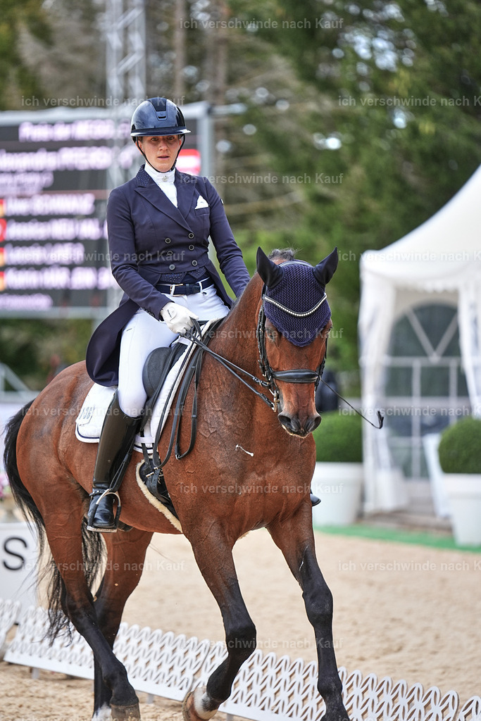 11-036-Dressur S___-Marixx-1510 | working equitationturnier fotograf videograf stoibphotography marixx film working equitation deutschland reitsport turnierfotografie eventfotografie equestrian events