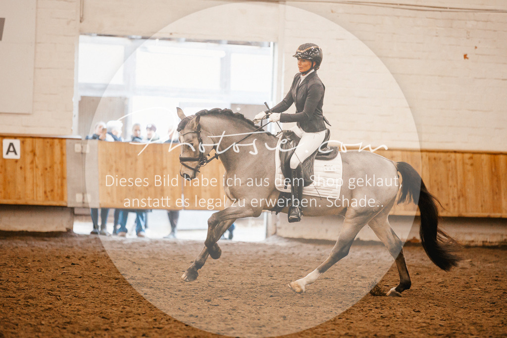 3I6A1457 | Stimmungsvolle Portraits und Reitsportfotografie im Ruhrgebiet und im Münsterland.

Pferdefotografie, Hundefotografie, Tierfotografie, Reportagen, Portraits von Tier und Mensch, Turnierfotografie in Bochum, Recklinghausen, Marl, Haltern am See, Dülmen.. - Realisiert mit Pictrs.com