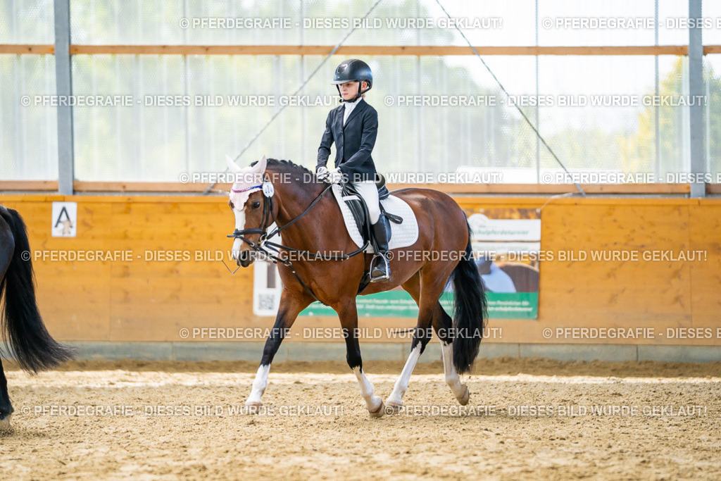 DSC00966 | Pferdegrafie