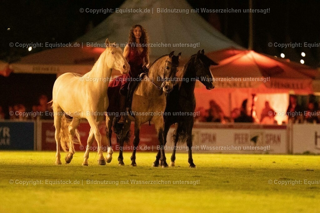 20230526_Pferdenacht_1518 | equistock
