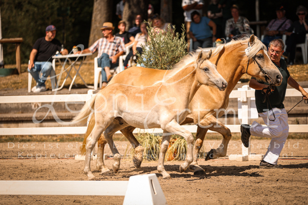 06.DoH00105 | Leoni Ertmer Photography - Realisiert mit Pictrs.com