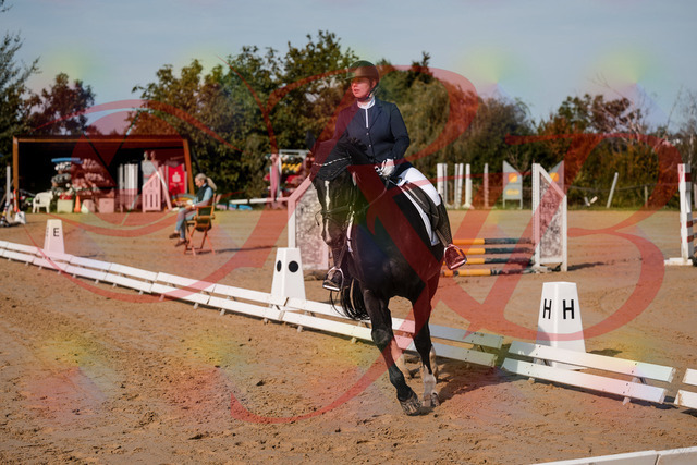 2026_10_03_Siefer-Hof_113427_Z63_20164272 | Professionelle Reitsport-, Turnier- und Eventfotografie von Robert Broda. Galerien mit ausgewählten und bearbeiteten Bildern direkt online ansehen und bestellen.