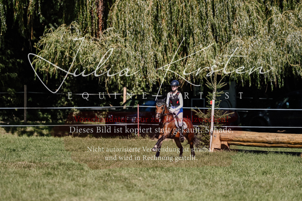 DSC_2946 | Pferde- und Turnierfotografie in Westsachsen. Pferdeportraits, Auftragszeichnungen und intuitive Kunst.