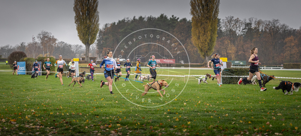 CaniXpix_DV3A8836 | Hundefotografie, Tierfotograf, Pfotenfotografie, Fotoshooting Hund, Hunde Portrait, Hundesport, Hundeportraits, Heideshooting, Hunde, Sportfotograf, Hundefotograf, Turnierhundsport, THS,  - Realisiert mit Pictrs.com
