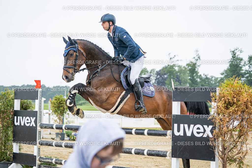 DSC01432 | Pferdegrafie