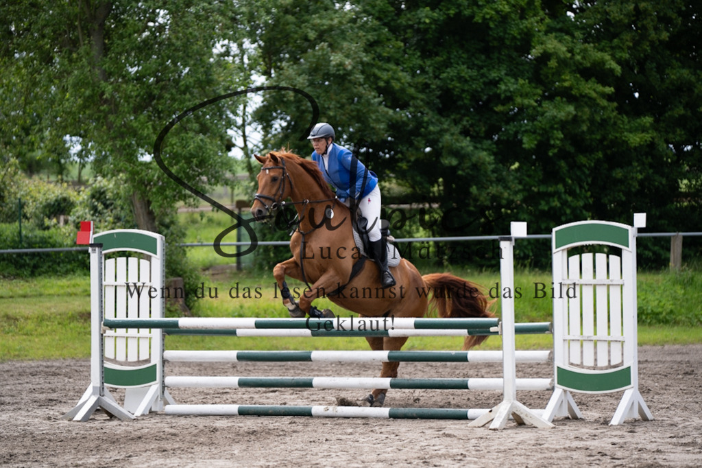 A7V04176 | Pferdefotograf