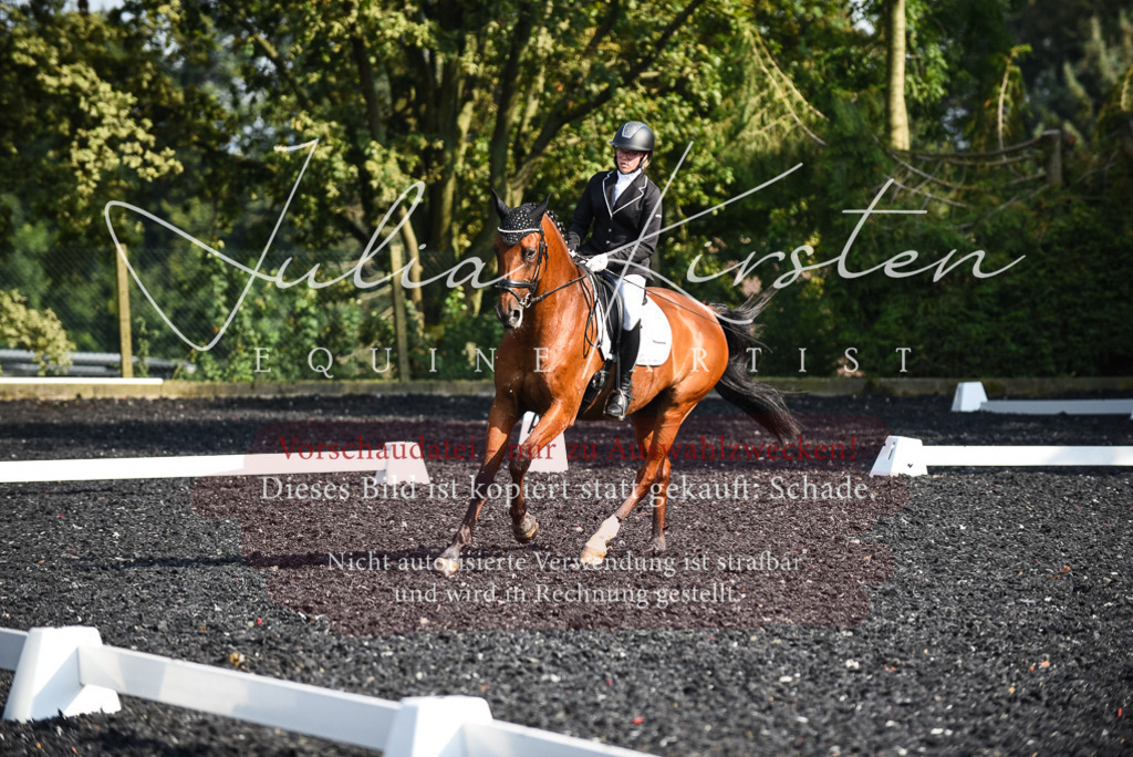 DSC_3167 | Pferde- und Turnierfotografie in Westsachsen. Pferdeportraits, Auftragszeichnungen und intuitive Kunst.