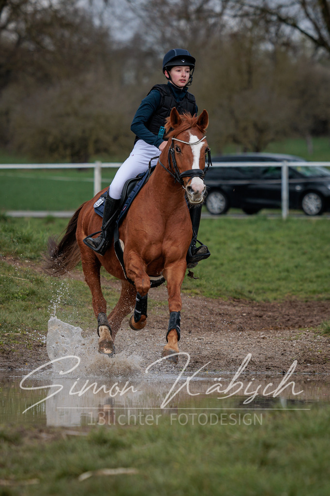 20260329-_3LI4498 | Tierfotografie Pferde, Hunde, Katzen, Haustiere.
Turnierfotografie Reitturniere, Reiten, Springreiten, Dressur in Hanau, dem Main-Kinzig-Kreis und dem Rhein-Main- Gebiet um Frankfurt