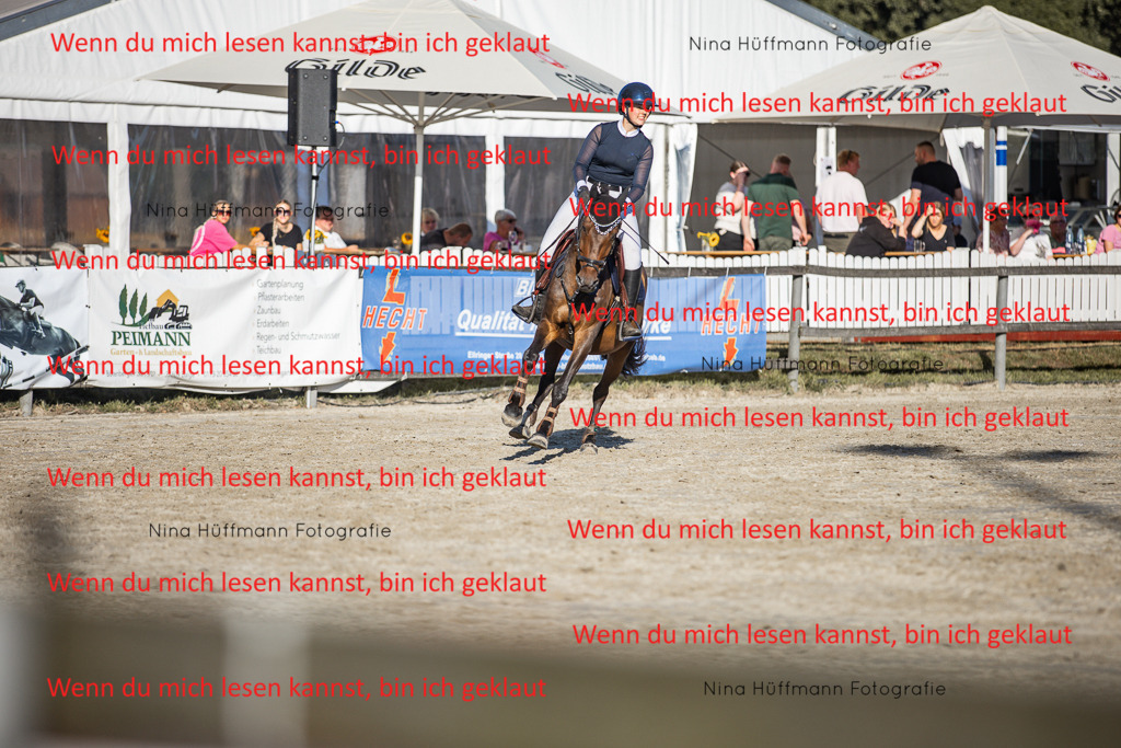BK1A7832 | Turnierbilder Turnierfotos Nina Hüffmann Turnierfotografie Pferdefotografie Tierzeichnung Haustierzeichnung Pferdezeichnung Hundezeichnung Videograf  - Realisiert mit Pictrs.com