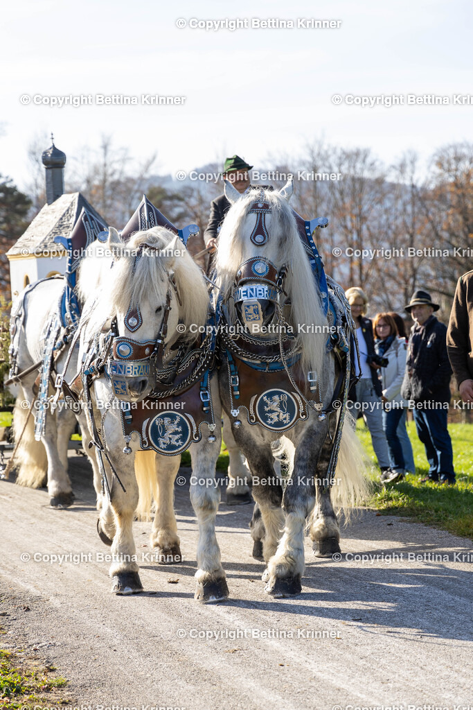 LBT24-1337 | foto-bettina-krinner - Realisiert mit Pictrs.com