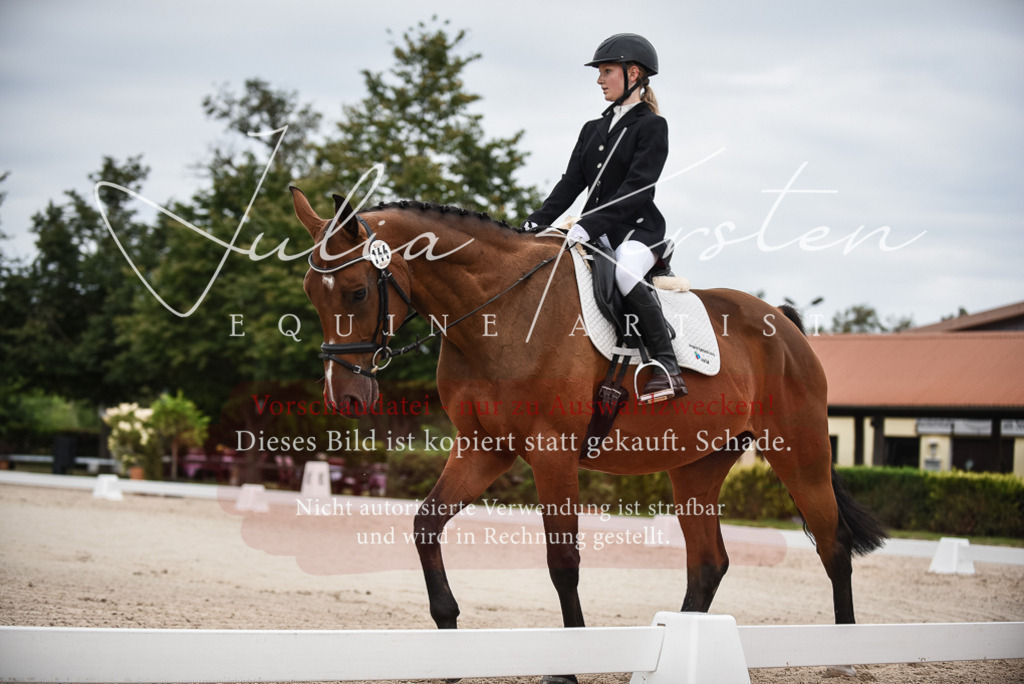 DSC_8020 | Pferde- und Turnierfotografie in Westsachsen. Pferdeportraits, Auftragszeichnungen und intuitive Kunst.