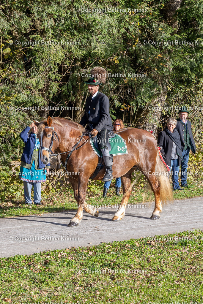 LBT24-193 | foto-bettina-krinner - Realisiert mit Pictrs.com