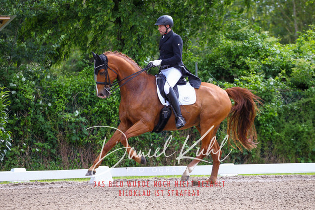 DKP41297 | Turnierfotos kaufen im Webshop von Daniel Kuhl Photography – entdecke professionelle Reitsportfotos aus Turnieren & Events. Hochwertige Turnierbilder online bestellen & sichern. Jetzt Fotos von Reitsportturnieren kaufen!