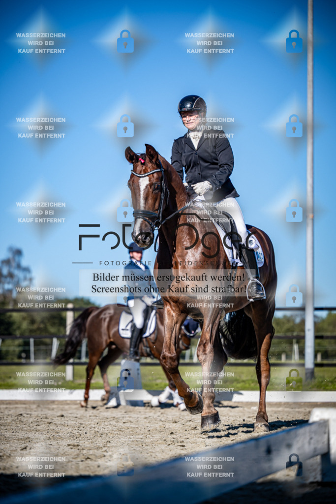 2026-09-Lohne-11-0031 | Entdecke hochwertige Reitturnierfotos von Foto Oger. Professionell, emotional und authentisch – jetzt Lieblingsmomente im Shop bestellen.Deutschlandweite Turnierfotografie. - Realisiert mit Pictrs.com