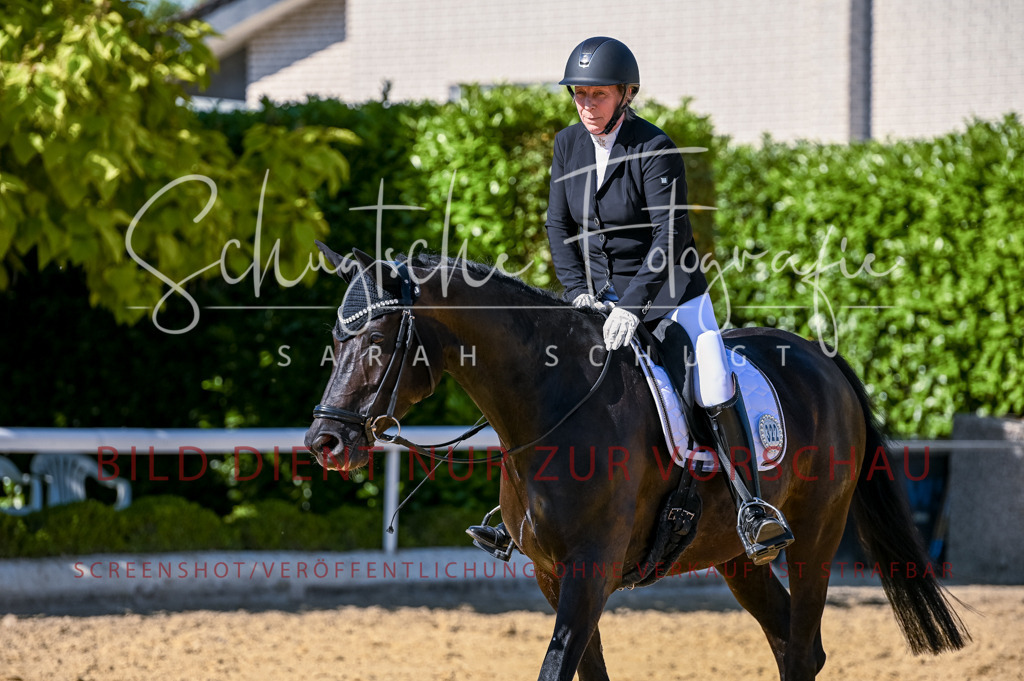 Schugtsche-Aluta25-50.Dressurpferdeprf.L-208 | Schugtsche Fotografie - Realisiert mit Pictrs.com