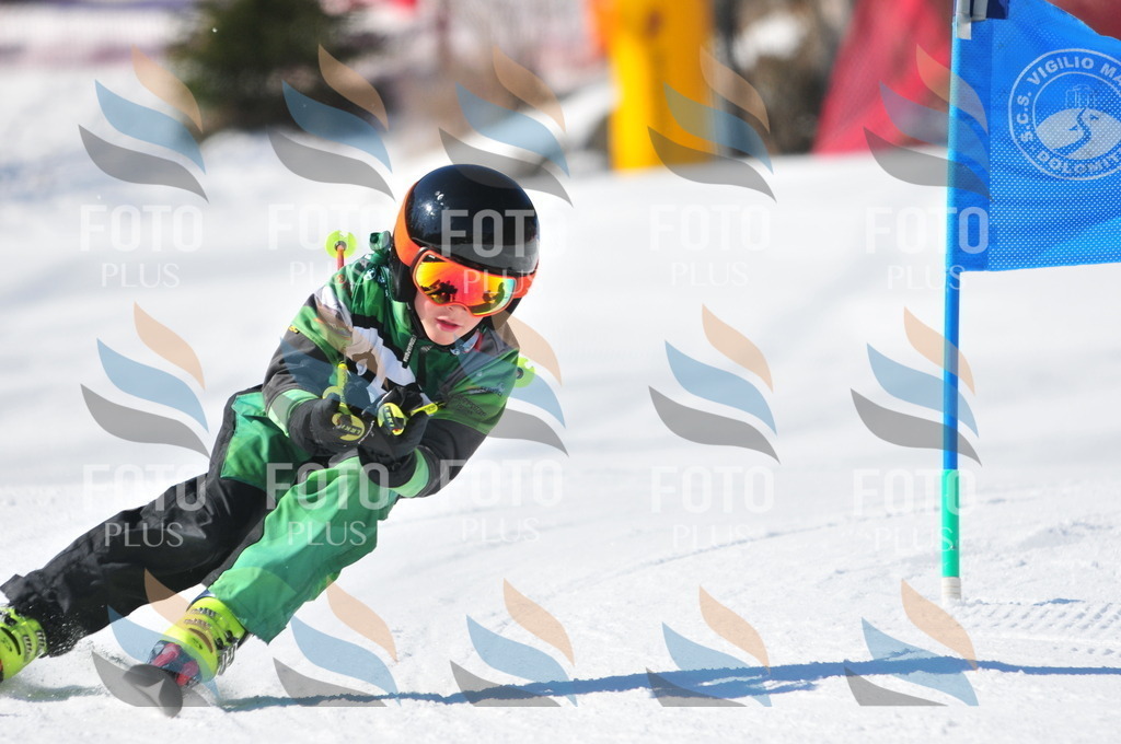 C3157 | holidayphoto