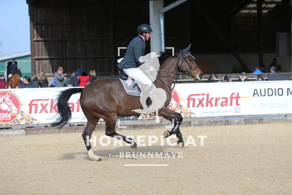 DL2Q8519 | Willkommen bei Brunnmayr - Design & Fotografie – Ihrem Spezialisten für Reitturniere und Pferdeveranstaltungen in Oberösterreich, Salzburg und Bayern! Seit über 17 Jahren sind wir leidenschaftlich dabei.