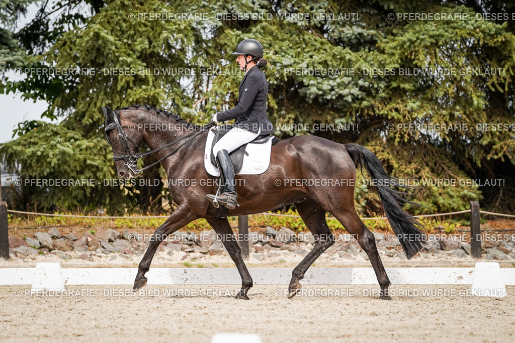 DSC06821 | Pferdegrafie