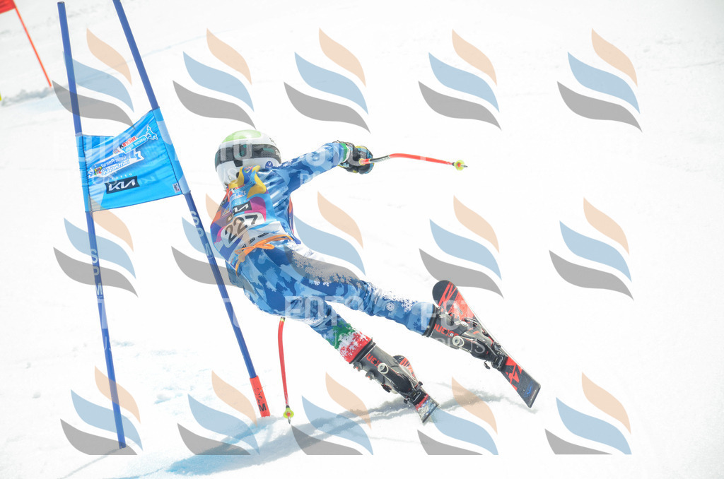 _ELE7262 | holidayphoto