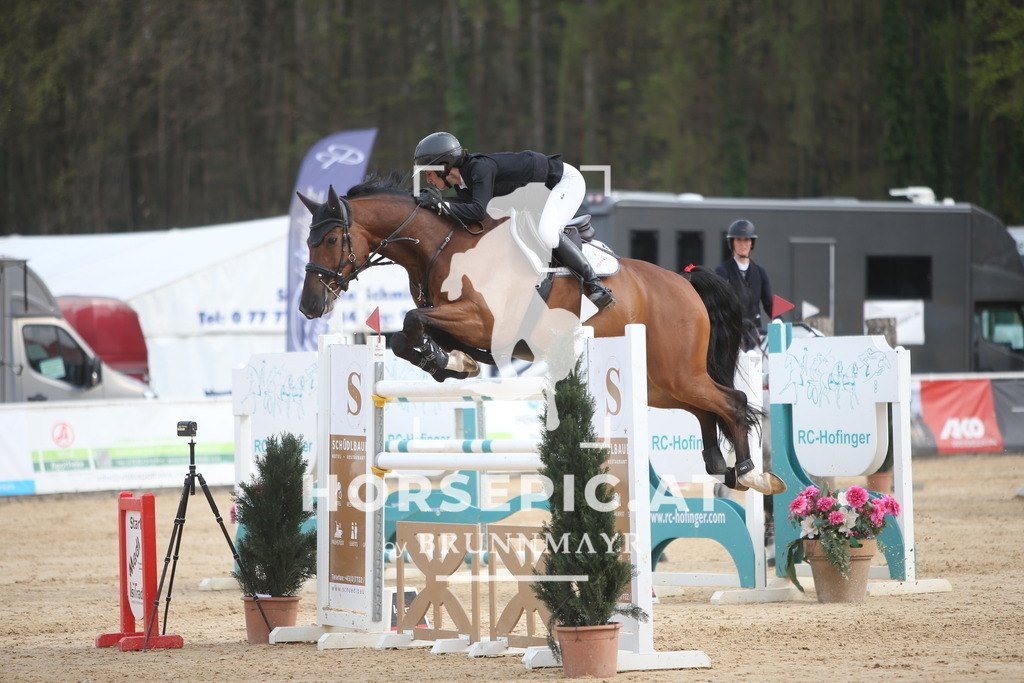 PP018534 | Willkommen bei Brunnmayr - Design & Fotografie – Ihrem Spezialisten für Reitturniere und Pferdeveranstaltungen in Oberösterreich, Salzburg und Bayern! Seit über 17 Jahren sind wir leidenschaftlich dabei.