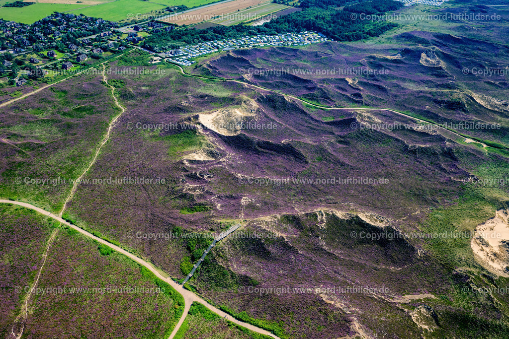 Sylt_Kampen_Uwe_Düne_Höchster_Punkt_ELS_0201130825 | KAMPEN (SYLT) 13.08.2025 Aussichtsplattform " Düne Uwe " in der Heide-Landschaft Kampen (Sylt) auf der Insel Sylt im Bundesland Schleswig-Holstein, Deutschland. // Observation platform "Duene Uwe" in the heath landscape of Kampen (Sylt) on the island of Sylt in the federal state of Schleswig-Holstein, Germany. Foto: Martin Elsen