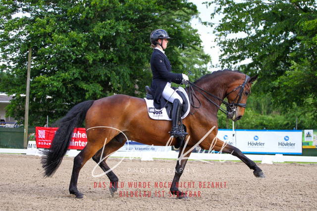 DKP41699 | Turnierfotos kaufen im Webshop von Daniel Kuhl Photography – entdecke professionelle Reitsportfotos aus Turnieren & Events. Hochwertige Turnierbilder online bestellen & sichern. Jetzt Fotos von Reitsportturnieren kaufen!