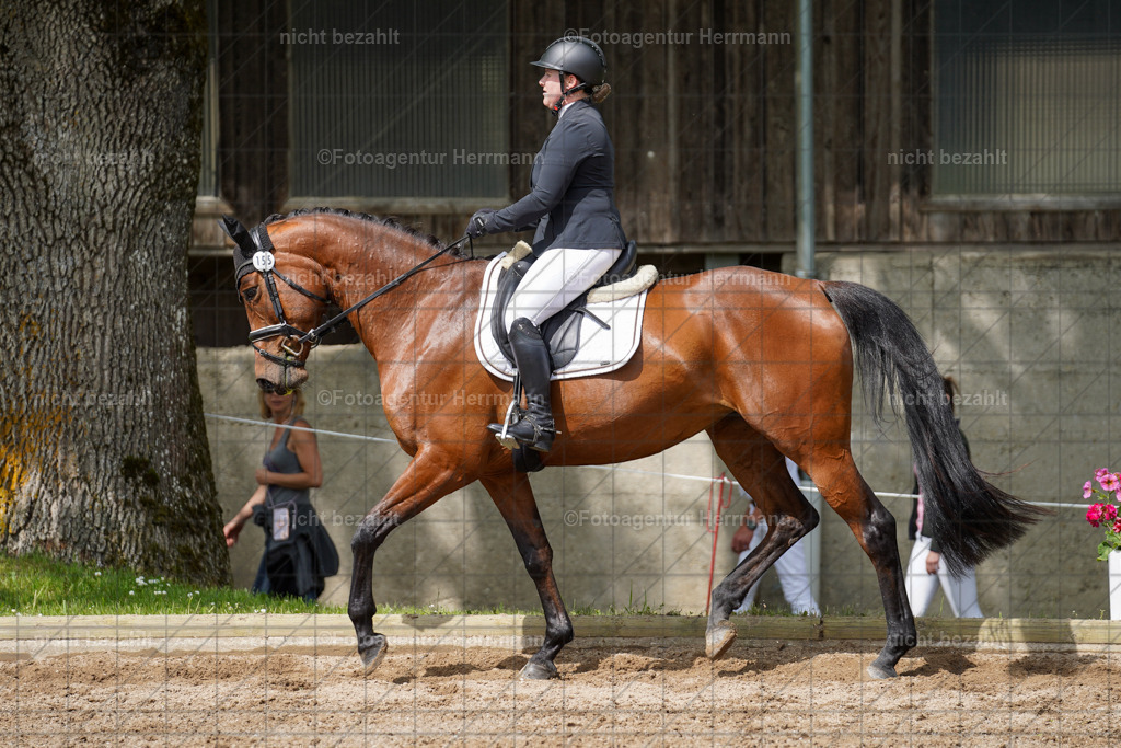 20240519-FAH04911 | Turnierbilder Niederseeon 2024, Vielseitigkeitsdressur, Reitsportbilder aus dem Landkreit Ebersberg, Gut Steinsee, RC Steinsee, Fotoagentur Herrmann