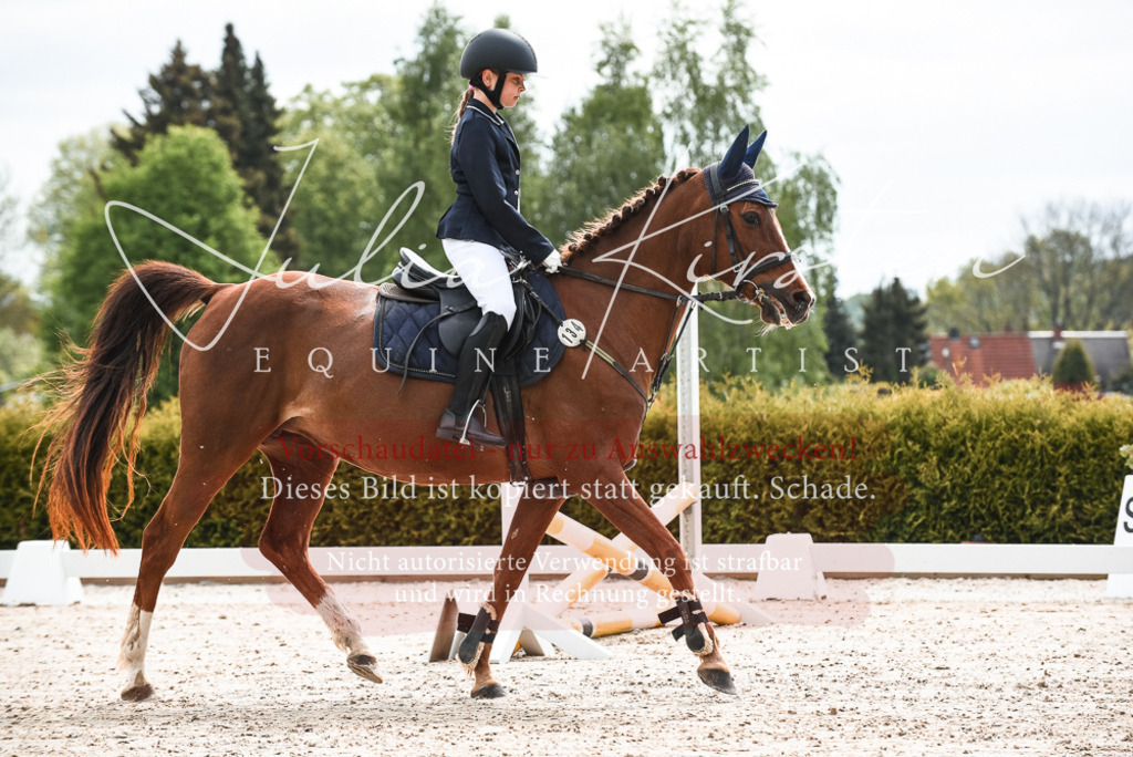 20230518_JK-Röhrsdorf-10-005 | Pferde- und Turnierfotografie in Westsachsen. Pferdeportraits, Auftragszeichnungen und intuitive Kunst.