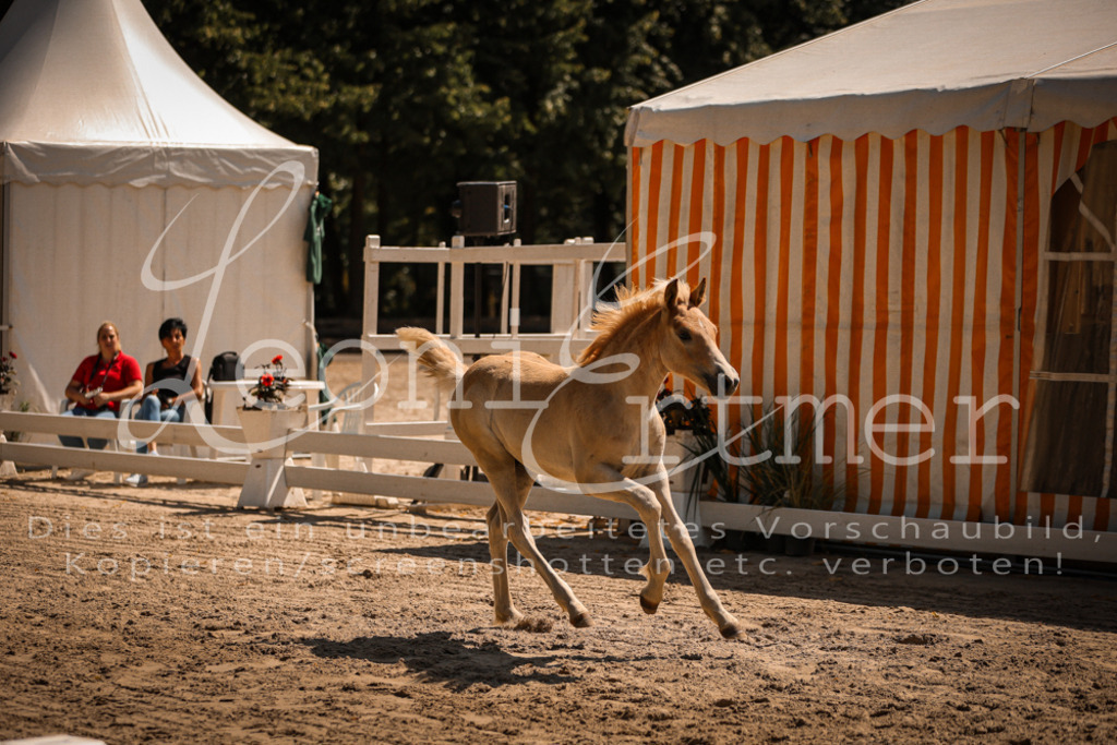 06.DoH00083 | Leoni Ertmer Photography - Realisiert mit Pictrs.com