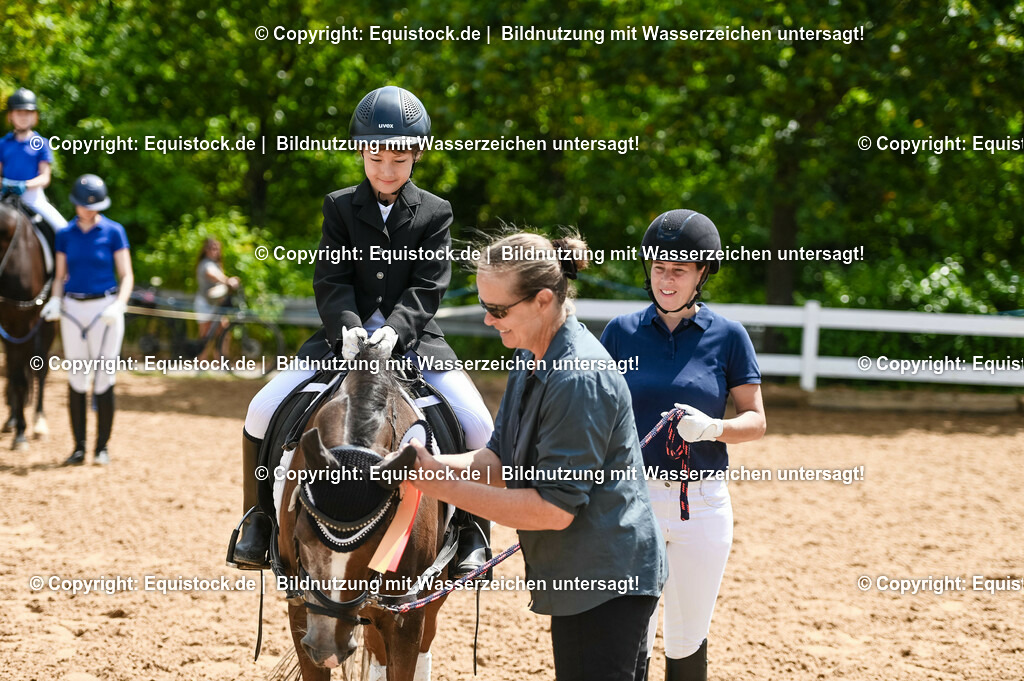 20230716_11_Führzügel-WB_0104 | equistock