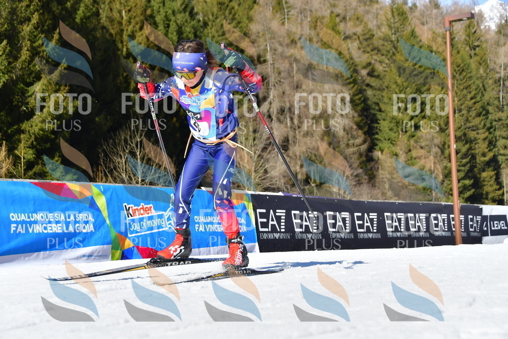 _DSC8852 | holidayphoto