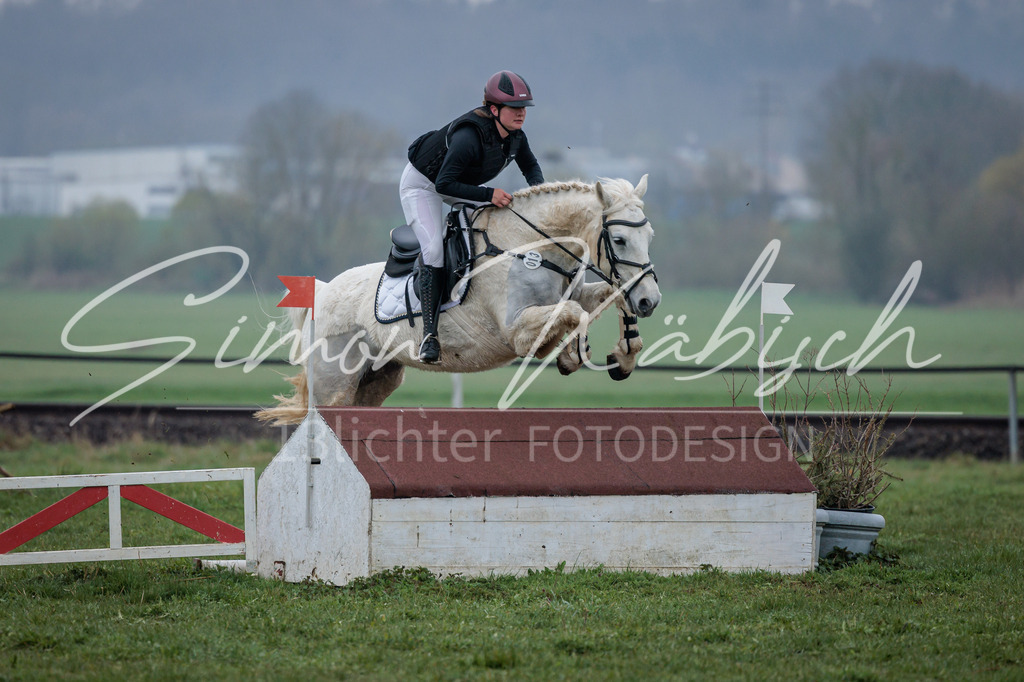 20260329-_3LI4106 | Tierfotografie Pferde, Hunde, Katzen, Haustiere.
Turnierfotografie Reitturniere, Reiten, Springreiten, Dressur in Hanau, dem Main-Kinzig-Kreis und dem Rhein-Main- Gebiet um Frankfurt