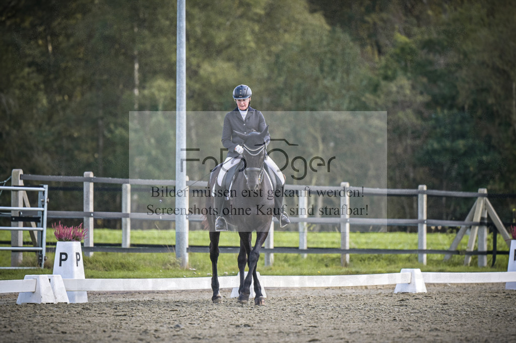 DOS_0766 | Entdecke hochwertige Reitturnierfotos von Foto Oger. Professionell, emotional und authentisch – jetzt Lieblingsmomente im Shop bestellen.Deutschlandweite Turnierfotografie. - Realisiert mit Pictrs.com