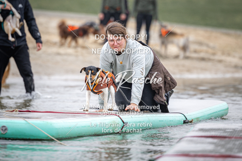 nelerasche_Hulsbeek_Sa1030-1100_465 | nelerasche