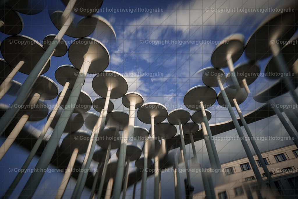 20260703203946Z63_5373 | Kaufen sie online außergewöhnliche Fotografien auf Leinwand Acrylglas Fotoprint Aludibond von holgerweigeltfotografie - Realisiert mit Pictrs.com