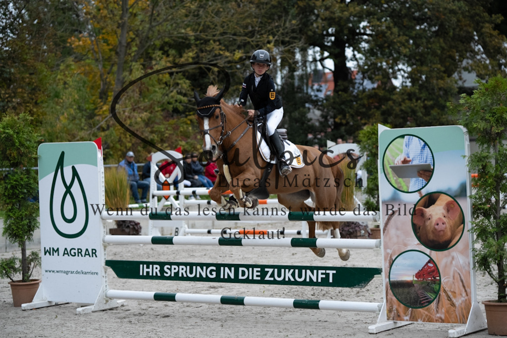 A7V08725 | Turnier/Reitfotograf