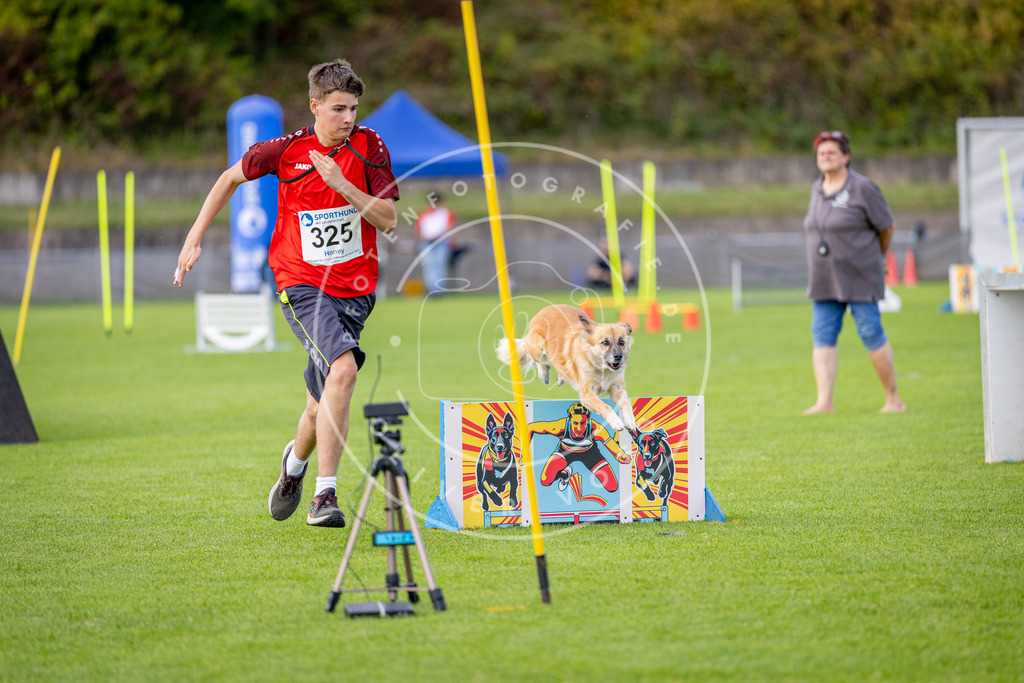 Pfotenfotografie_DV3A3230 | Hundefotografie, Tierfotograf, Pfotenfotografie, Fotoshooting Hund, Hunde Portrait, Hundesport, Hundeportraits, Heideshooting, Hunde, Sportfotograf, Hundefotograf, Turnierhundsport, THS,  - Realisiert mit Pictrs.com