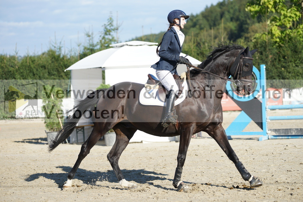 DSC09553 | equestrian-live-com