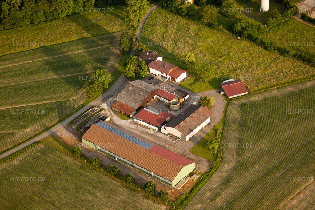 Luftbild: Gestüt Kaiserhof im Ortsteil Legelshurst in Willstätt im Bundesland Baden-Württemberg in Deutschland. Foto: IMG_28916.jpg vom 14.06.2010 durch Werner Riehm/FLY-FOTO.de