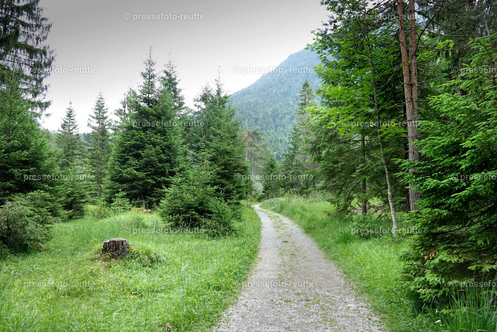 welltvi-2019-Juli09--Stuibenfaelle-Planseeabfluss-Reutte-DSD03346 | Info aus dem Bezirk Reutte/Ausserfern Tirol sowie eine umfangreiche Bilddatenbank über die gesamte Region: Lechtal, Talkessel Reutte, Tannheimertal, Zwischentoren. Lech, Plansee, Zugspitze, Grenztunnel, B179, Fernpassstraße, Verkehr, Lawinen, Tradition, - Realisiert mit Pictrs.com