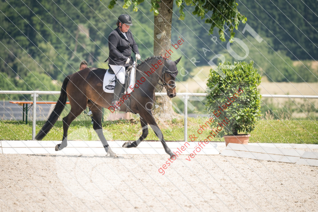 DSC_9577 | Sport-, Event- und Tierfotos in Profiqualität. Einfach auswählen, bestellen und herunterladen. Dein Moment – perfekt festgehalten.