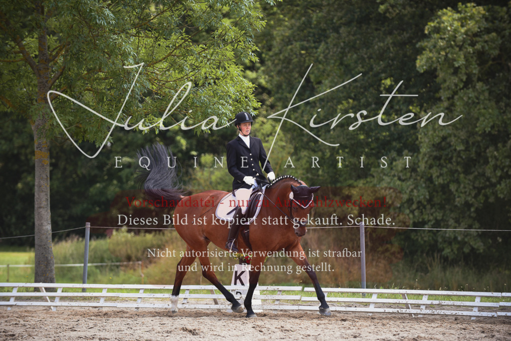 DSC_1020 | Pferde- und Turnierfotografie in Westsachsen. Pferdeportraits, Auftragszeichnungen und intuitive Kunst.