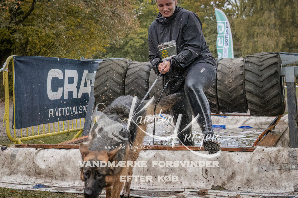 1631_ZZ93870 | kk-dogfotos