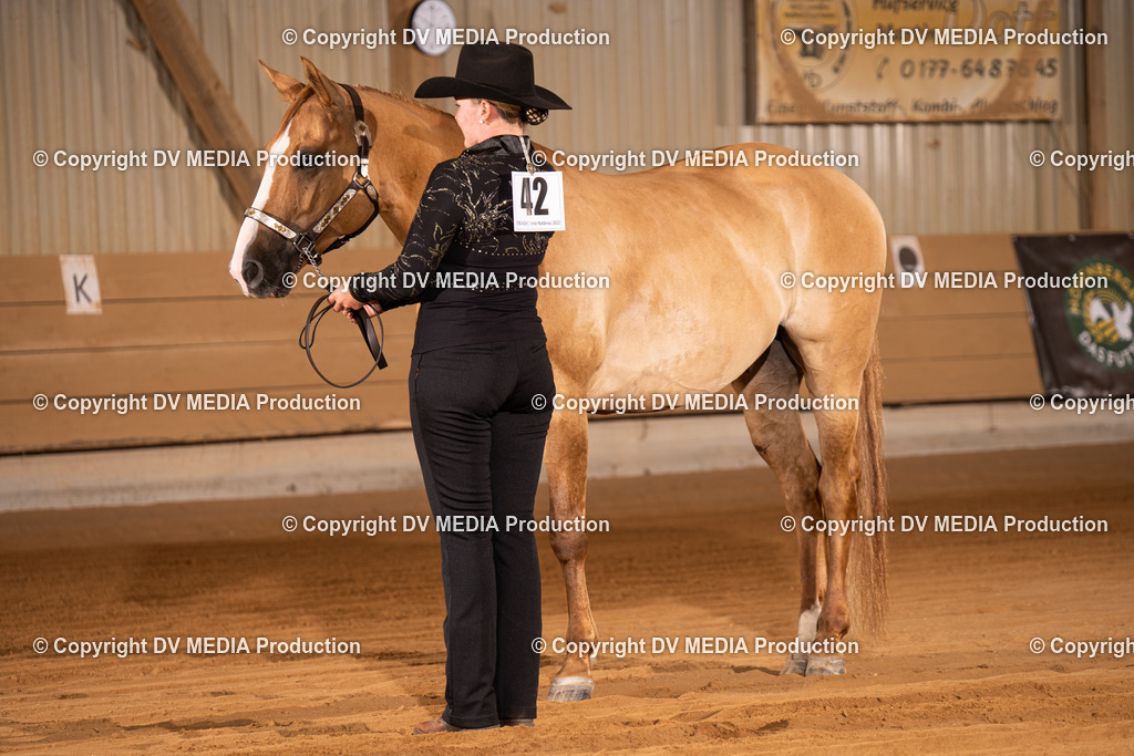 NID00007 | dv-media-shop - Realisiert mit Pictrs.com