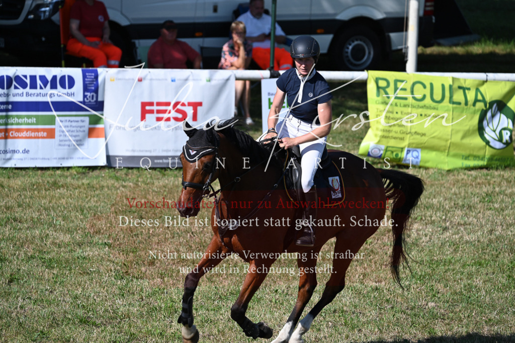 DSC_2222 | Pferde- und Turnierfotografie in Westsachsen. Pferdeportraits, Auftragszeichnungen und intuitive Kunst.