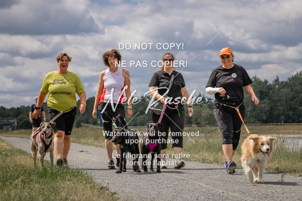 nelerasche_BuHu2026_SaCC1100-1200_222 | nelerasche