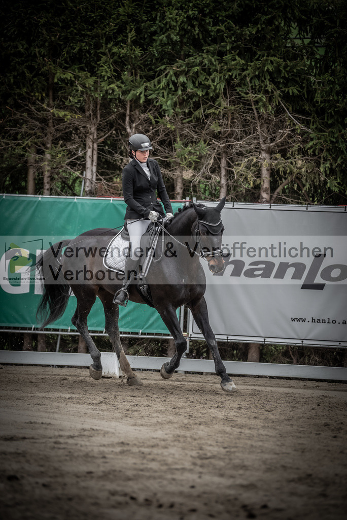 DSC_9313 | equestrian-live-com